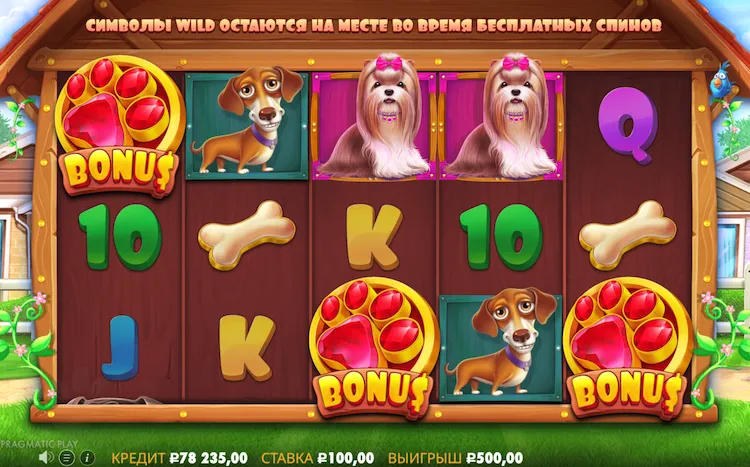 Правила игры Dog House