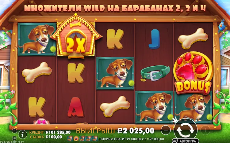 Правила бесплатных вращений